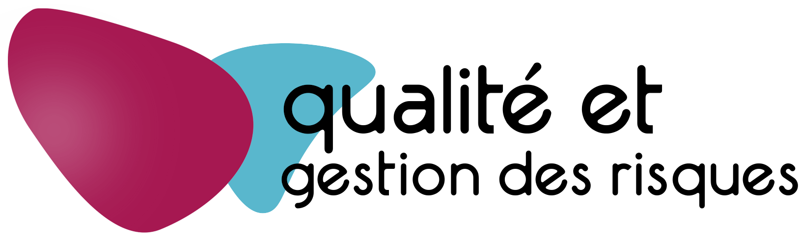 Qualité - Gestion des risques