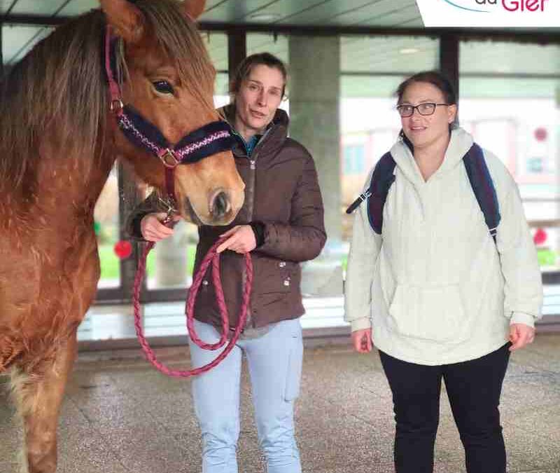 La place des animaux dans le projet d&rsquo;accompagnement de nos résidents d&rsquo;EHPAD