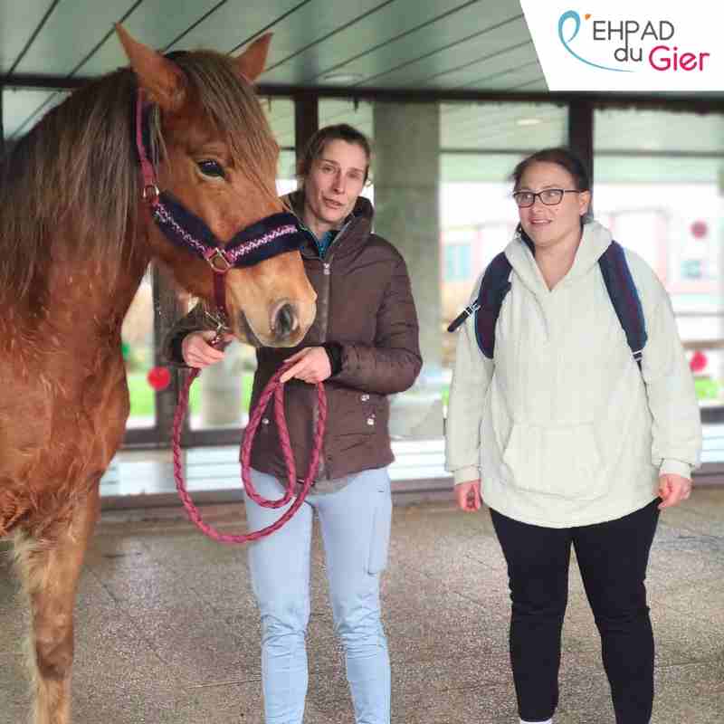 mediation-animale-avec-cheval-ehpad-antoine-pinay